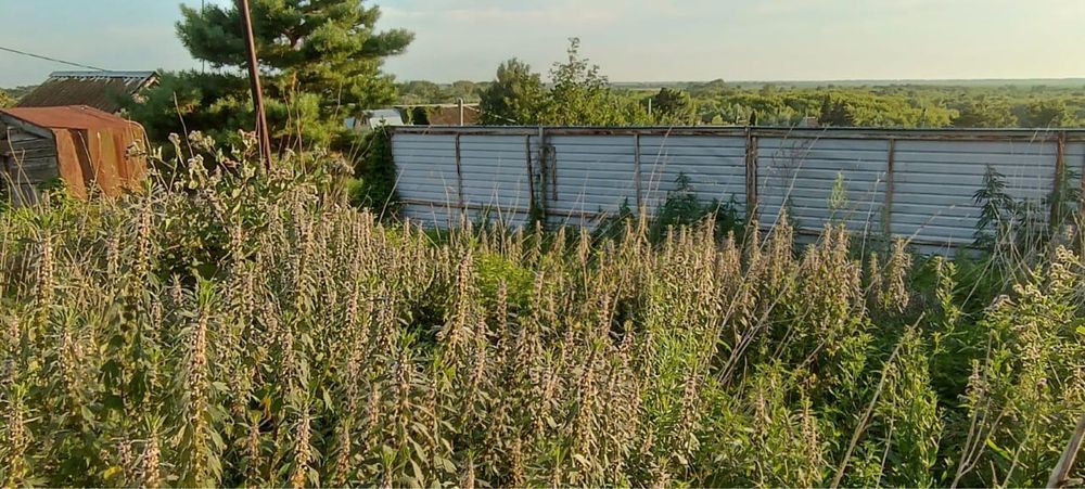 Продам дачу в садоводческом товариществе «Огонёк»