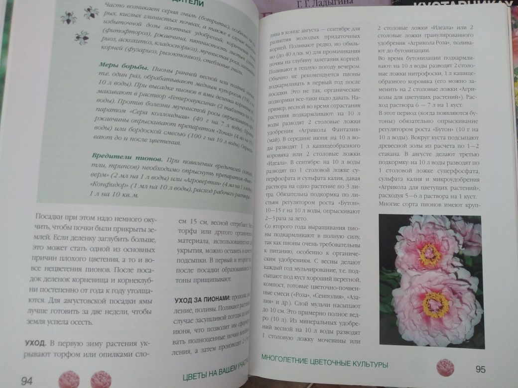 Книга Все о Цветы и растения