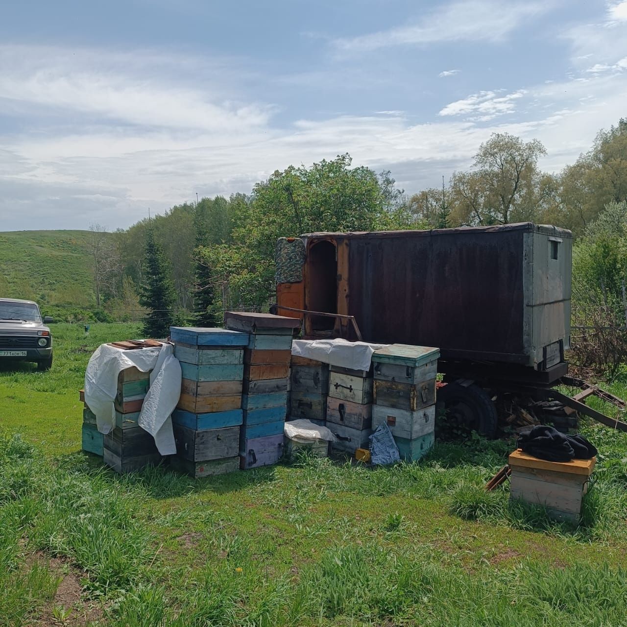 Продам пасеку 8 км от с.Веселовка