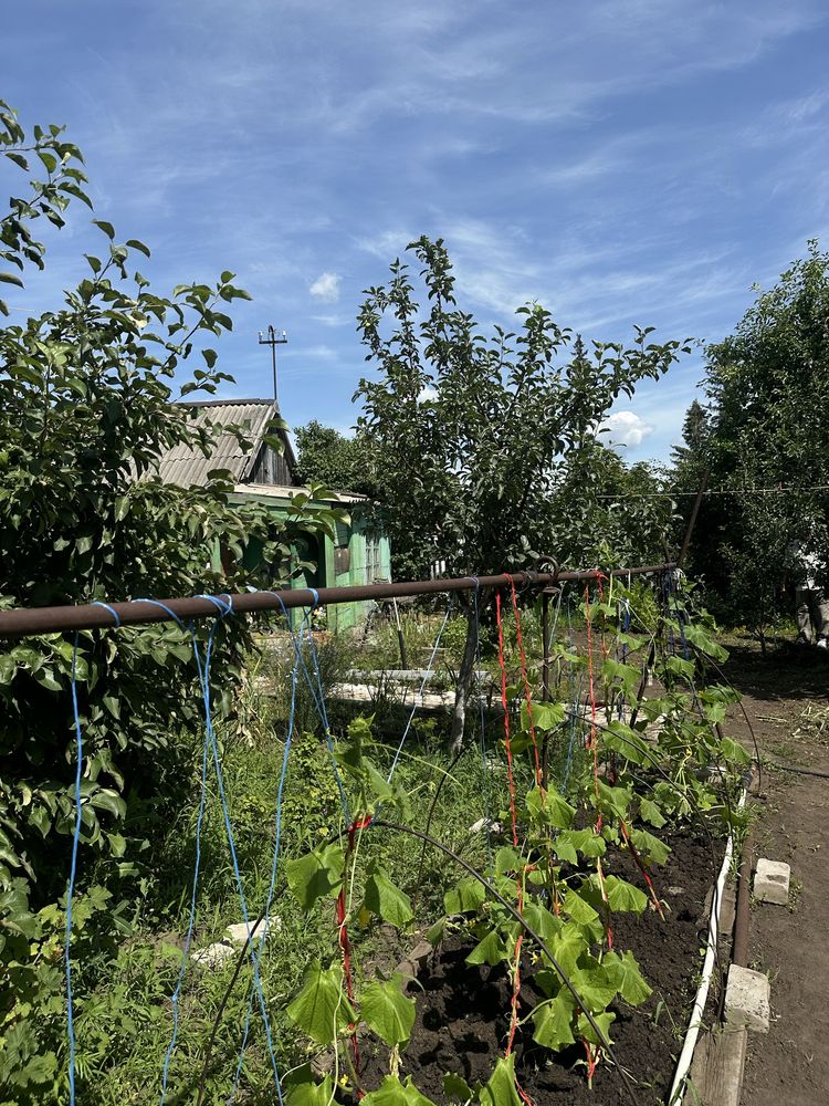 Продается дача в СО Химик