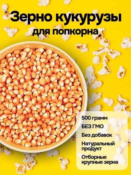 Бадырақ кукуруза, попкорн жүгерісі, зерно для попкорна. Popcorn