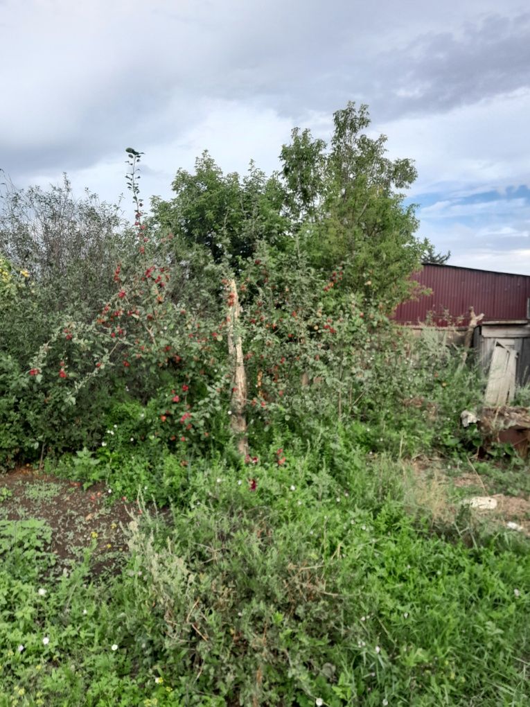 Продам дачу 6 соток