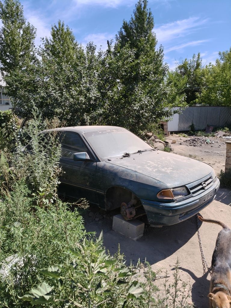 Продам астру как донор