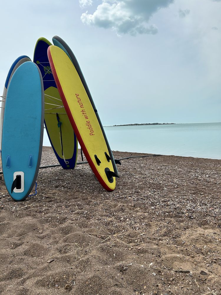 Sup-борды в продаже — 5 штук