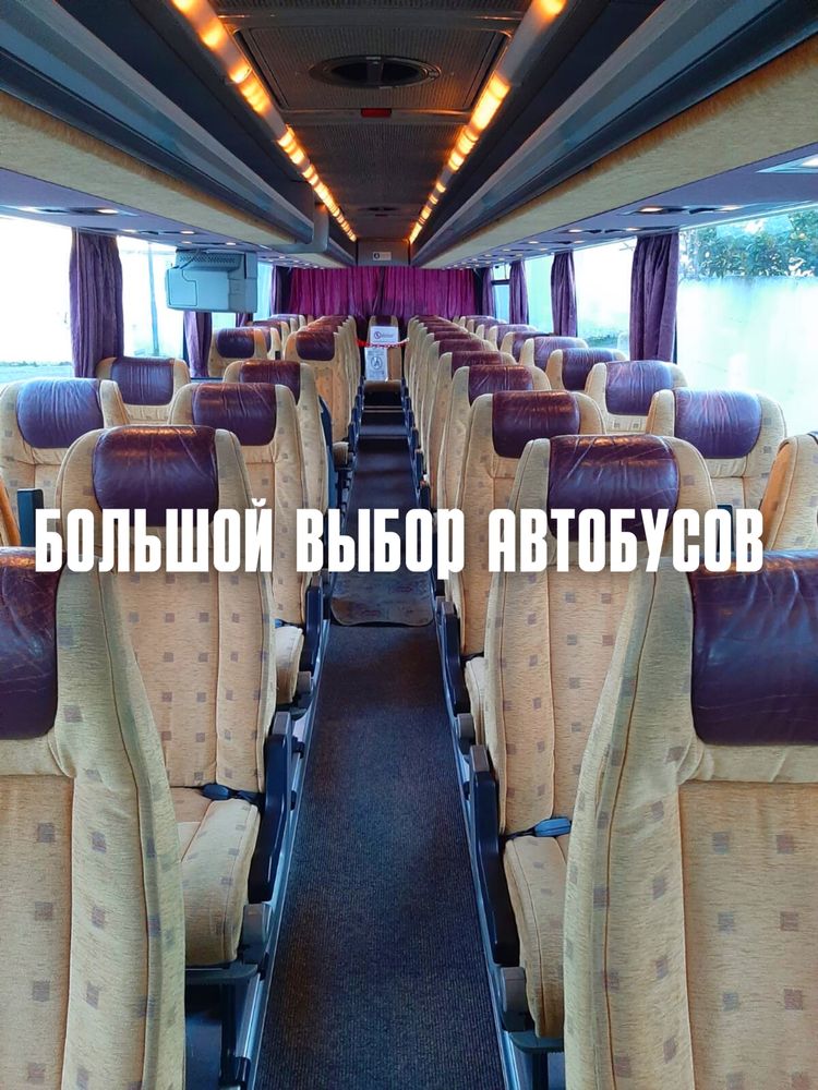 Аренда автобуса, Автобус на заказ, Перевозки, Автобус