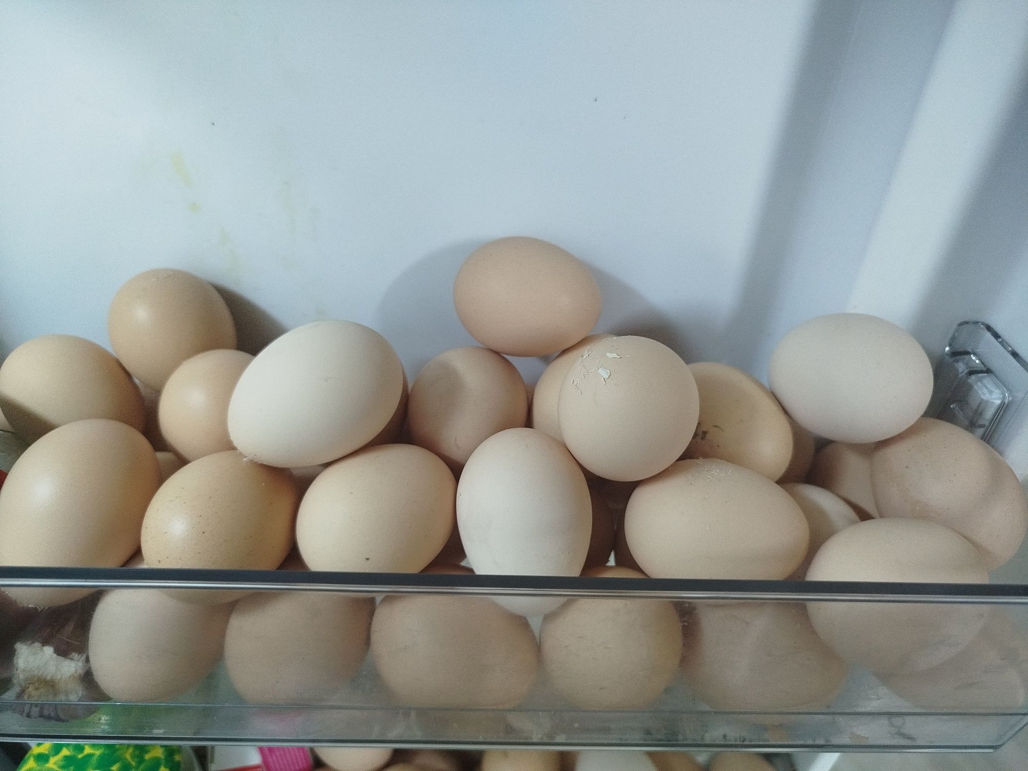 Продам домашние яйца свежие каждый день собираем