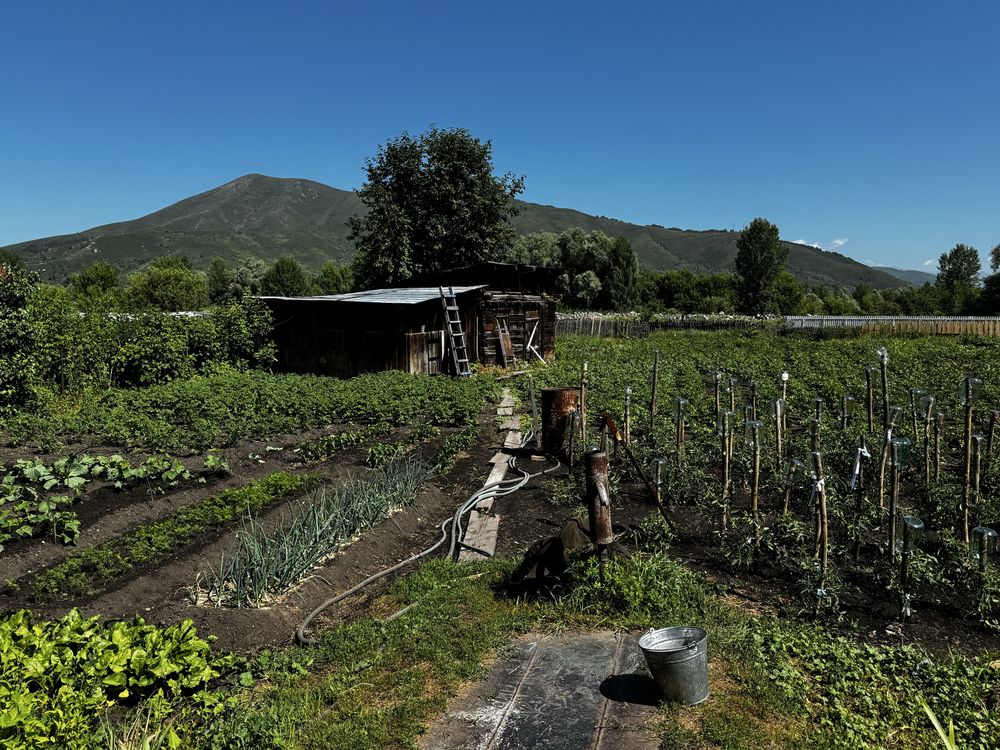 Продам дом в поселке Зубовск, район Алтай, ВКО