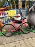 Tsunami snm100 fixed gear fixie