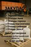 Кукуруза ,горох,сафлор , ячмень кормавой,