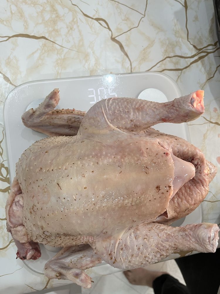 Мясо бройлера, мясо курицы продам