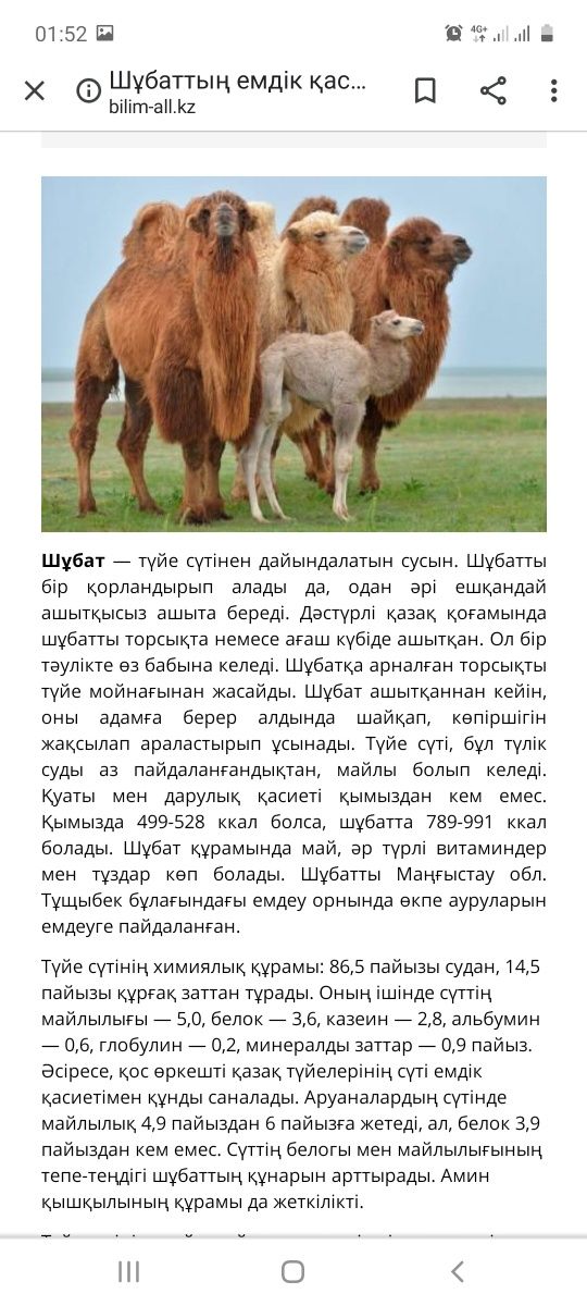 Шубат Шубат КЫМЫЗ Шұбат Қымыз Шұбат Кымыз