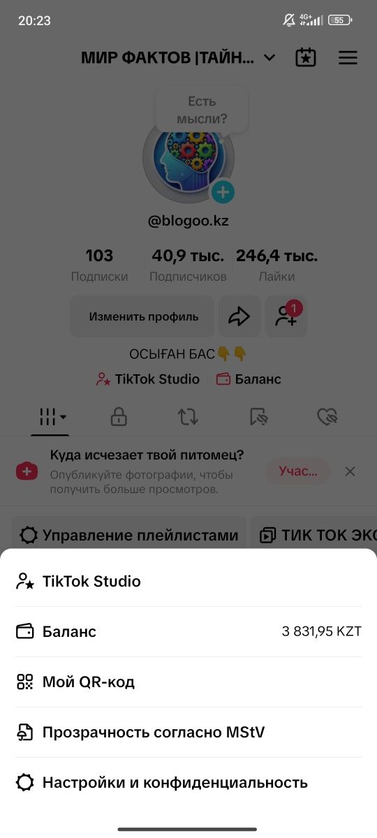 Продам монетизированный аккаунт Тик Ток.