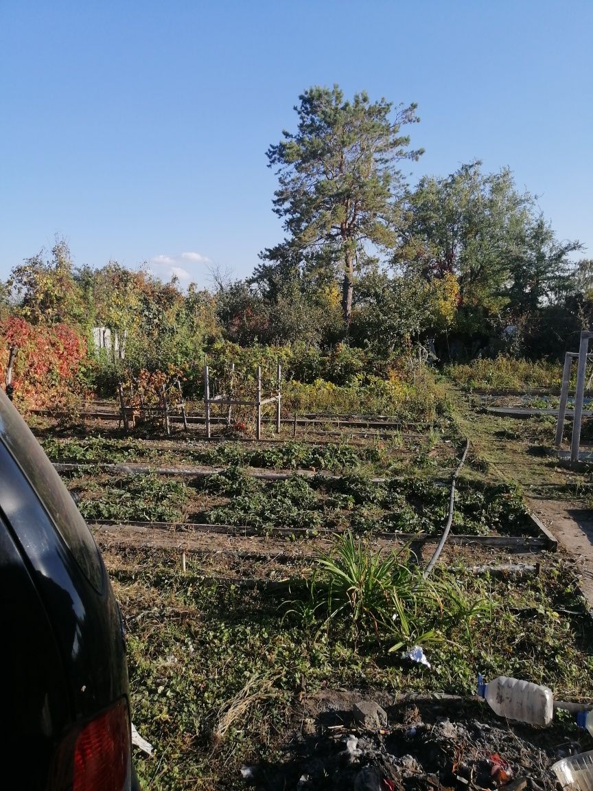 Продам дачу на кривом озерое.