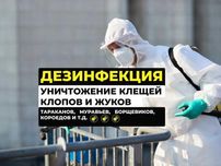 Дизинсекция, Дератизация, дизинфекция, уничтожение клещей, акарицидная