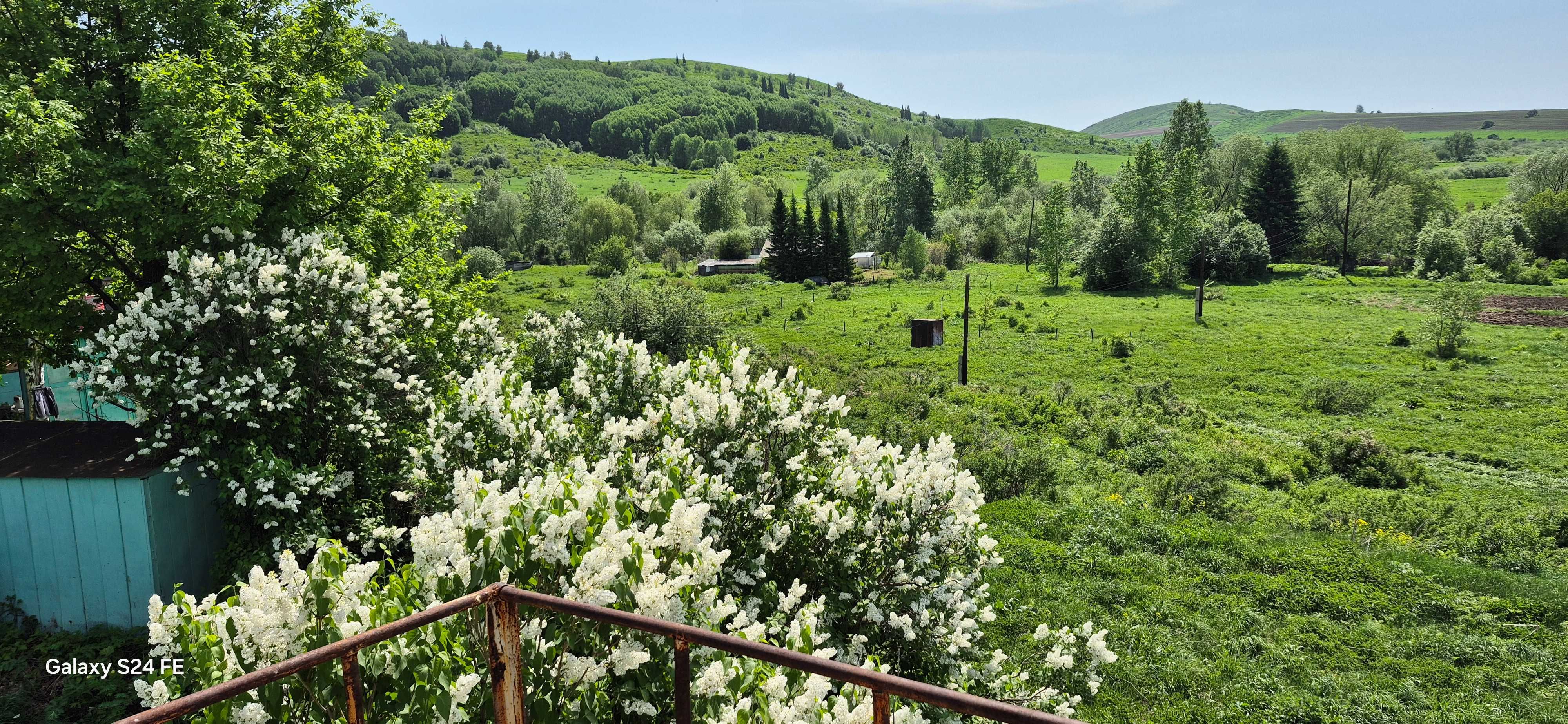 Продается Дом (Пасека) 40 сот., п. Календарка  (с.о. Секисовка)