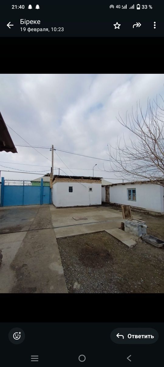 Жолдын астында уй сатылады