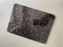 Ipad 5 gen 10.9 256gb
