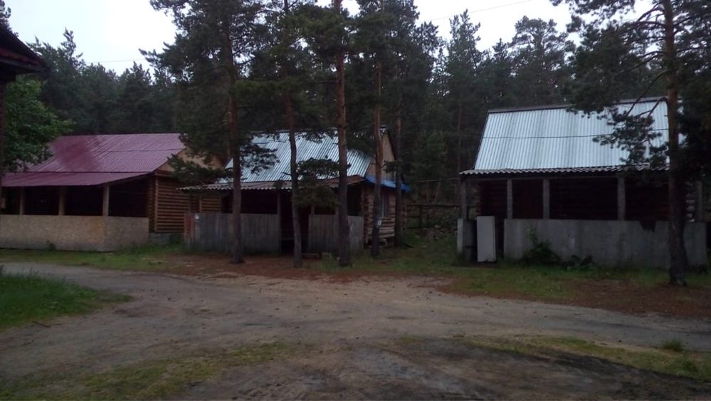 Сдам посуточно домики
