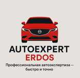 Автоэксперт на выезд. Толщиномер. Автоподбор Компьютерная диагностика.