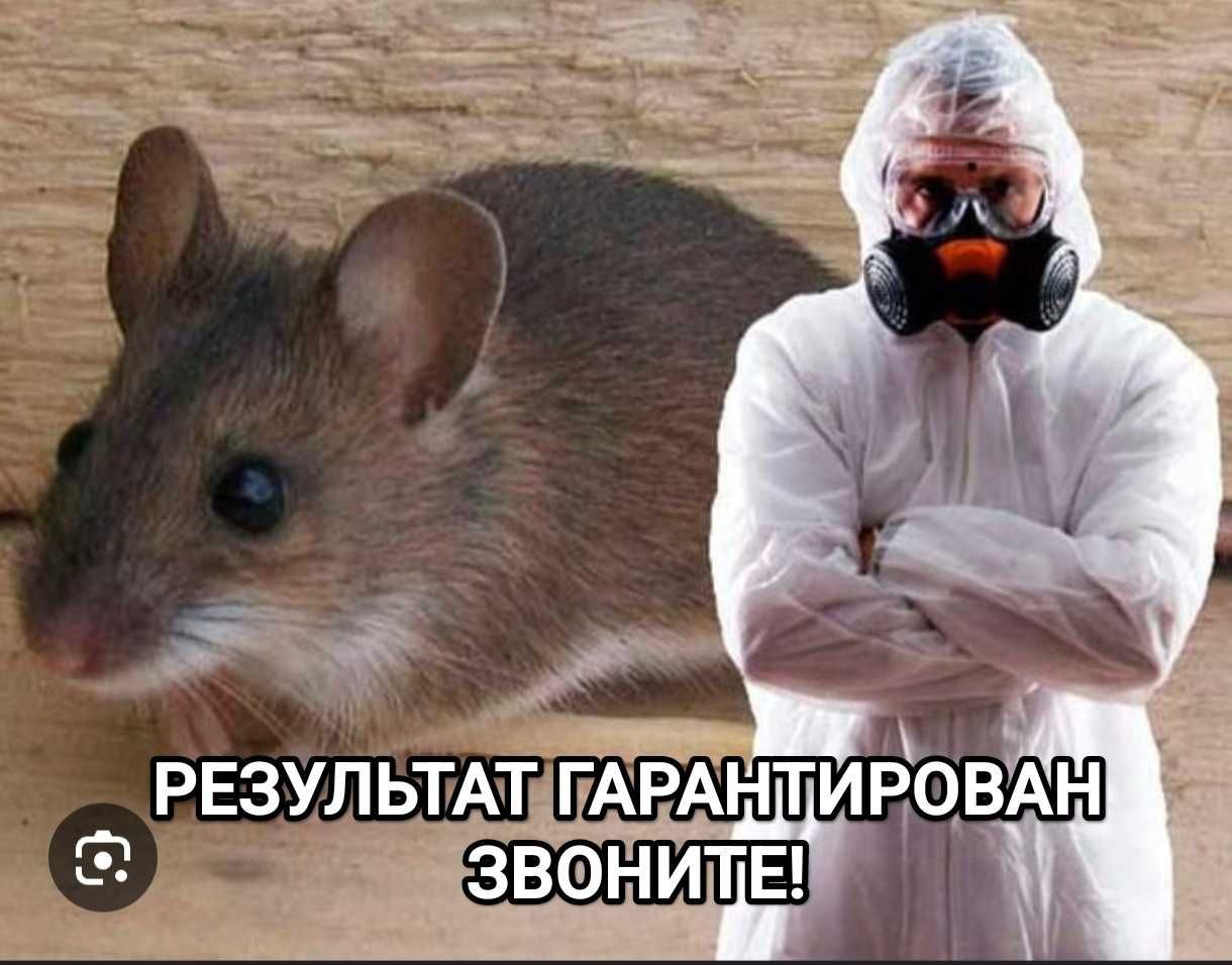 Профессиональная химия д.е.з.и н.ф.е.к.ц.и.я. клопы тараканы мыши