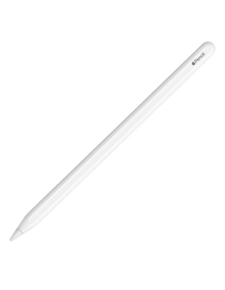 Серый Ipad Pro 12.9 дюйм и Apple Pencil 2nd gen