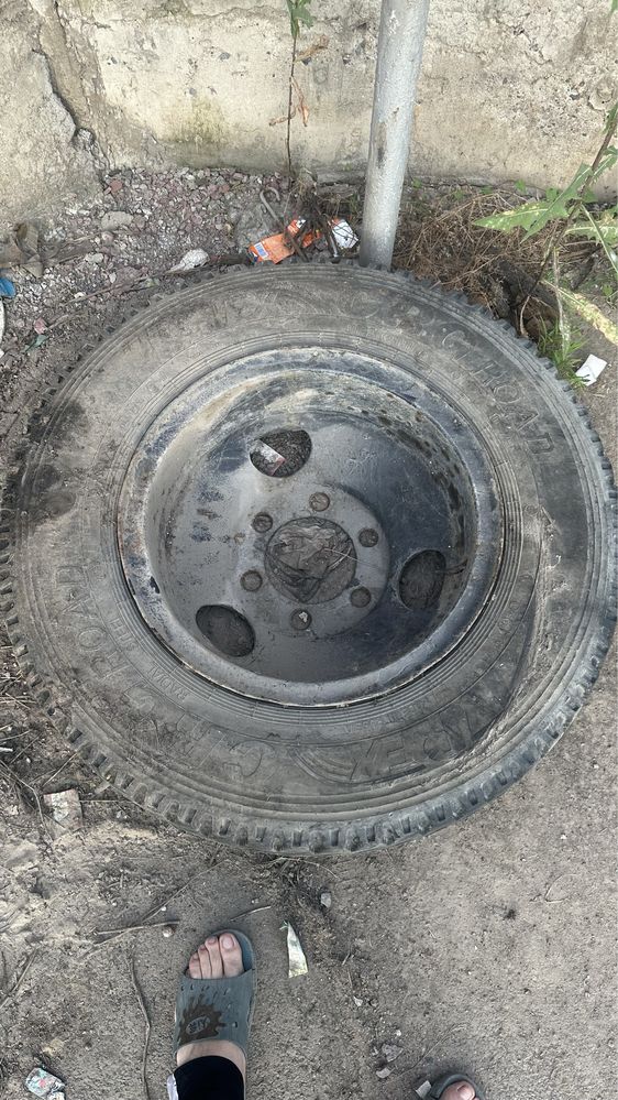 Диски от  ЗИЛ-131, УРАЛ  с резиной