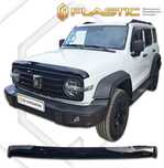 Мухобойка JAC J7, JS4, JS6, T6, T8, T9, S3, S5, JAECOO J7,  TANK 300
