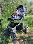 Коляска Delti Amelis 2в1
