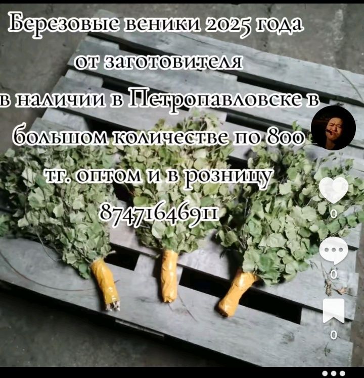 Берёзовые веники оптом и розницу от 5 штук