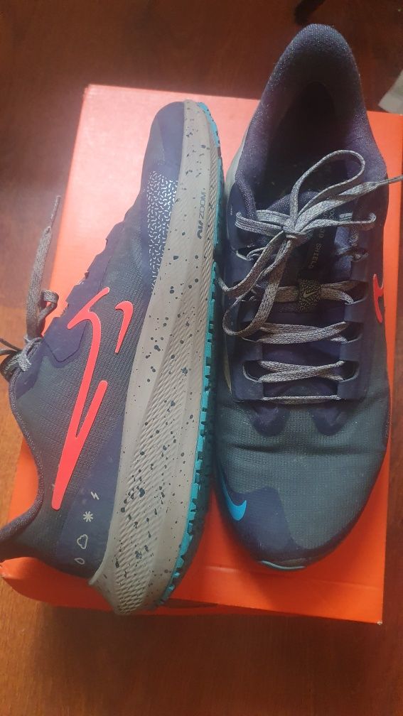 Кроссовки Nike  pegasus 39 shield