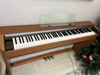 Цифровое пианино Casio Privia  PX-800
