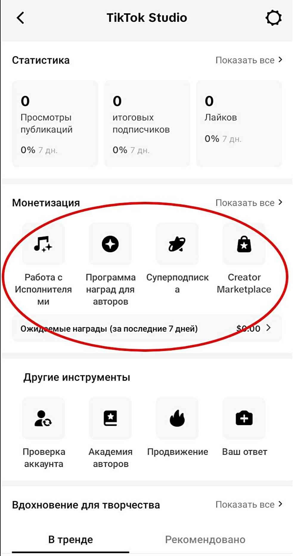 ТикТок аккаунт монетизация