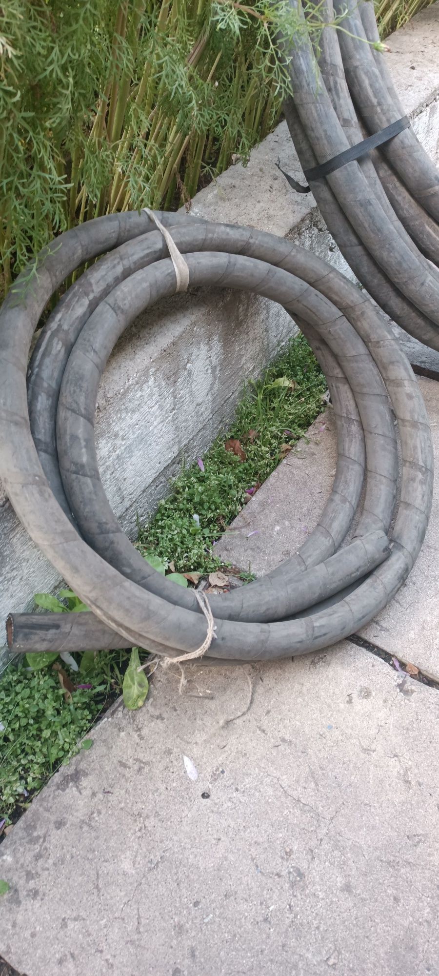 Шланги поливочные