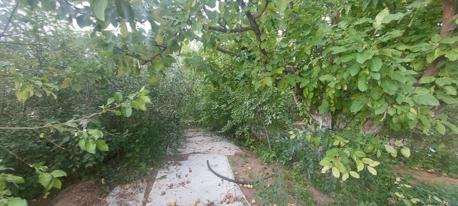 Продам дачу 15 соток