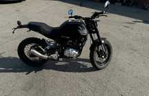 Daytona Scrambler