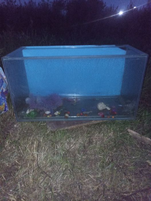 Продам аквариум с фильтром за 38000