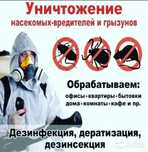 Со Скидкой 4000тг Дизенфекция Дезинфекция Дизинфекция Тарақан Клоп