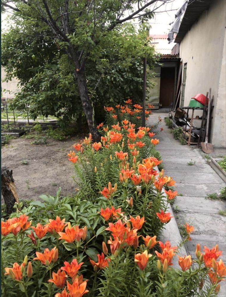 Дом в районе 20 квартала