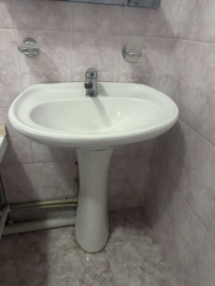 Раковина тюльпан