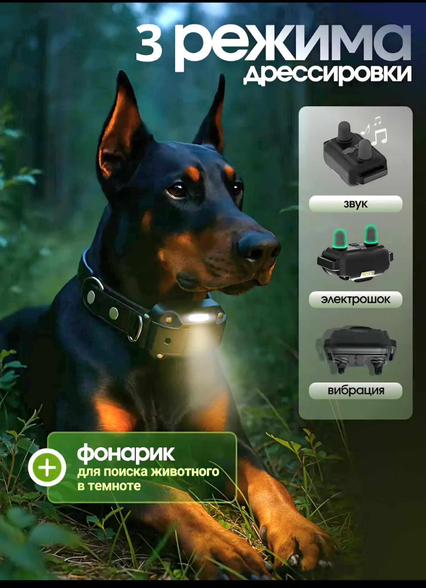 Электронный ошейник