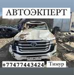 Автоэксперт Автоподбор Эксперт Толщиномер Подбор  Диагностика