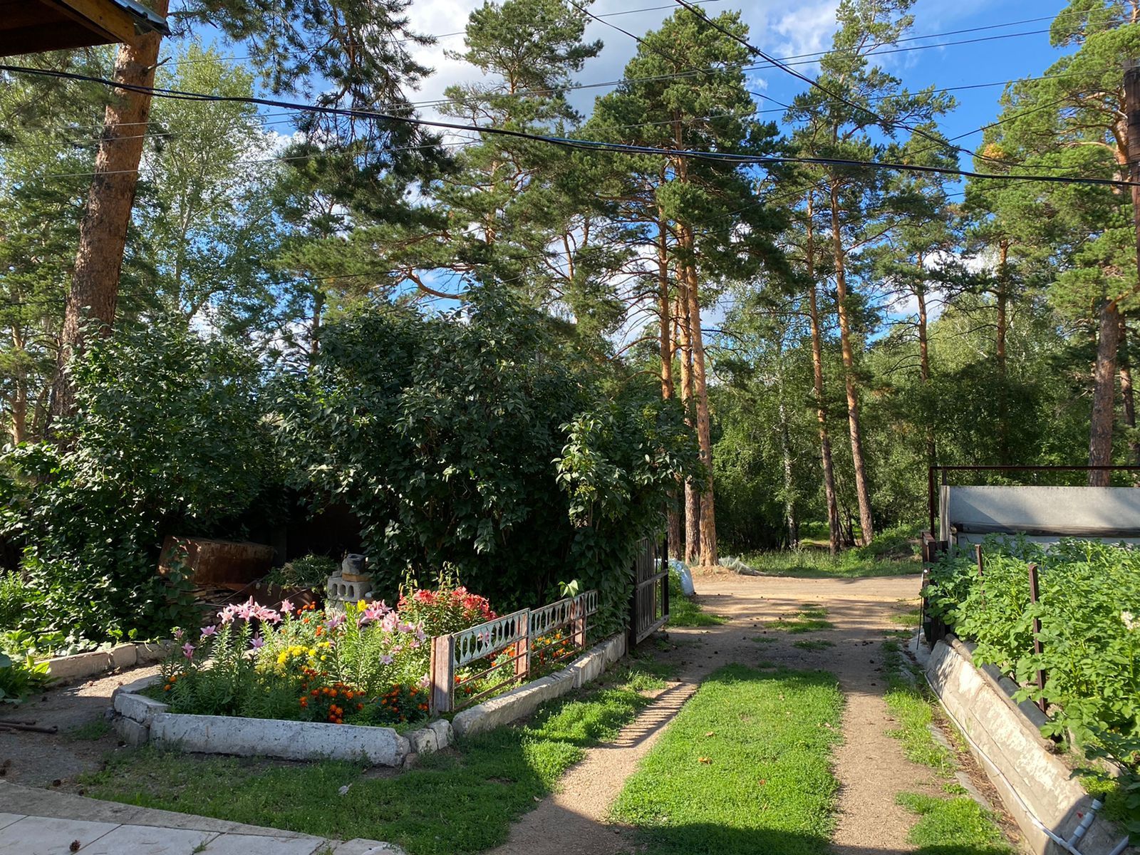 Продам дом в экологически чистом районе