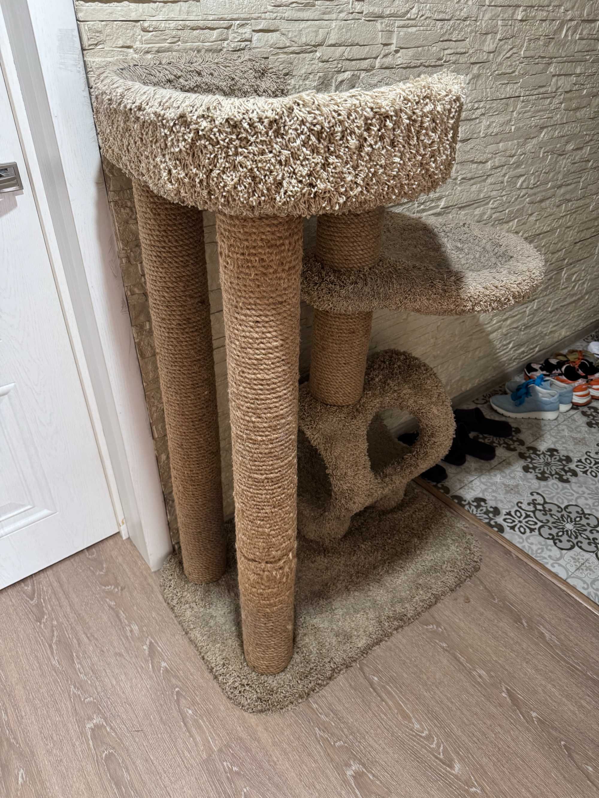 Кошачий комплекс