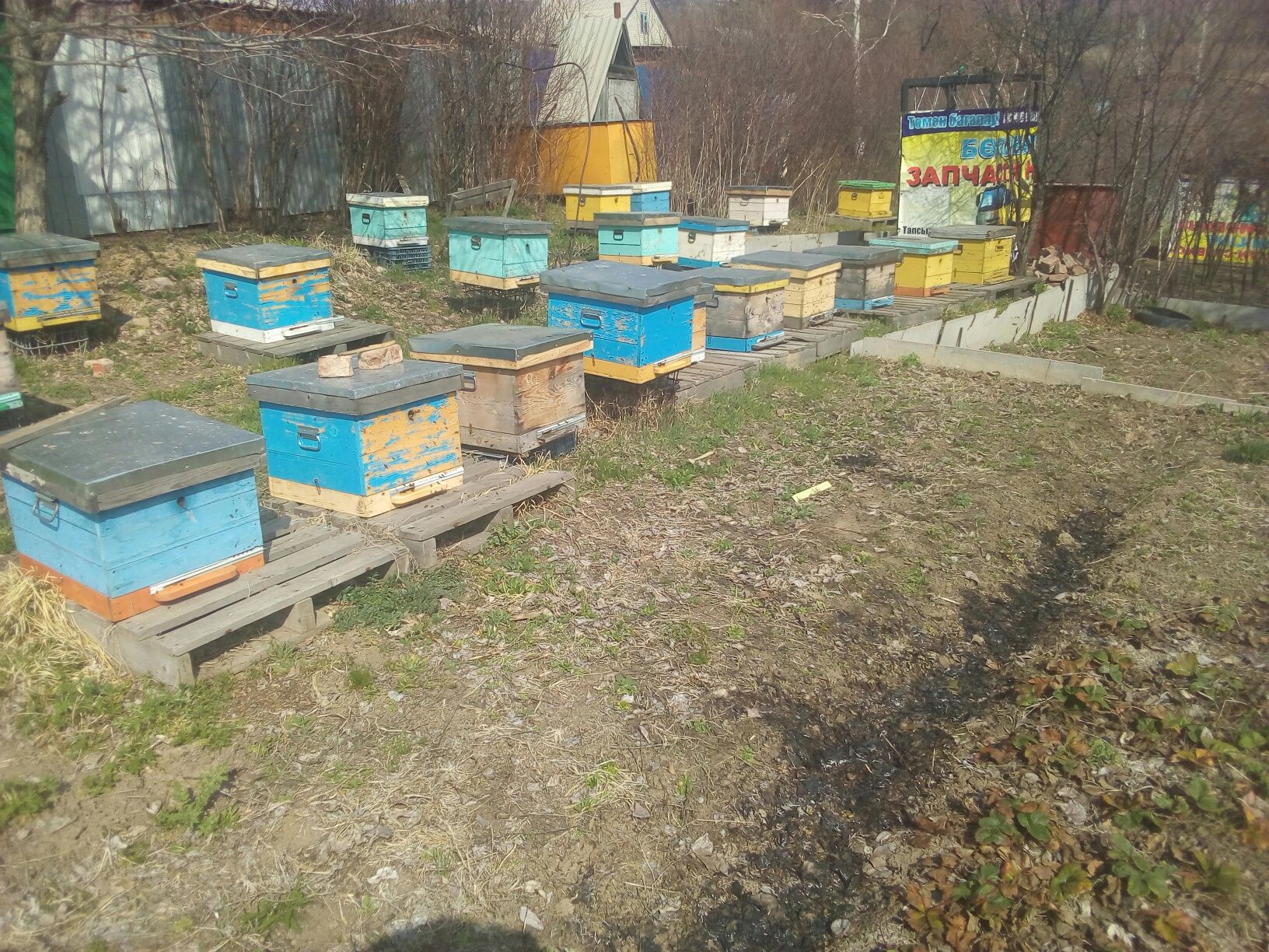 Мёд качество супер с собственной пасеки.