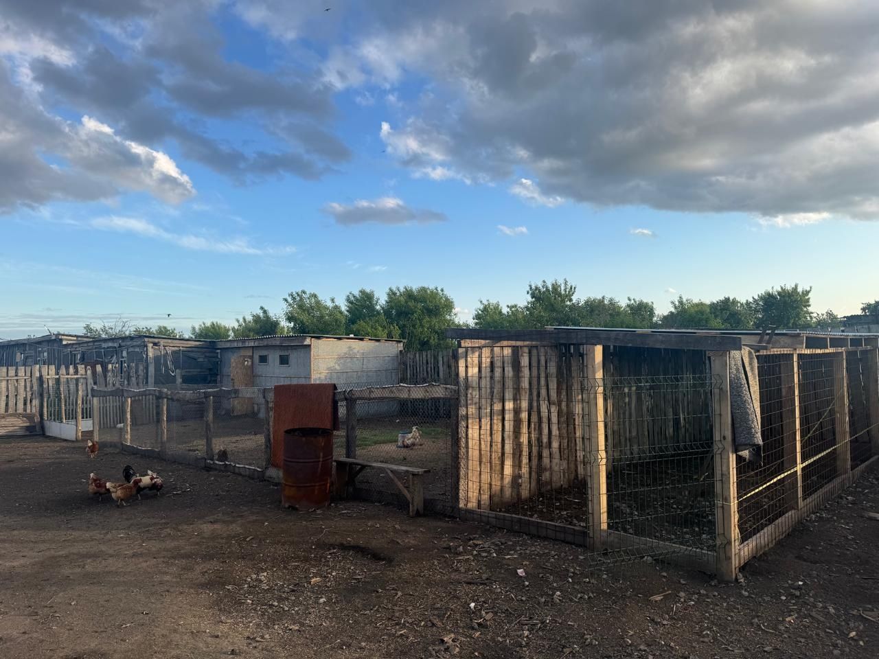 Продам дом с хоз постройками