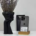 iPhone 13 Pro, 256гб