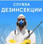Дезинсекция, уничтожение от тараканов клопов крыс мышей Алматы