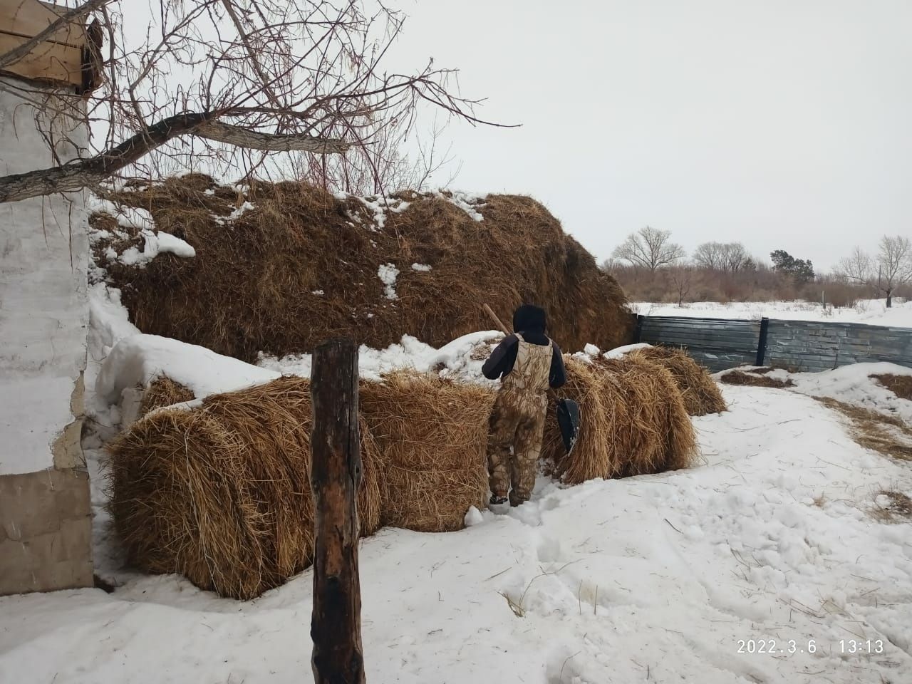 Продам дом готовый под ведение животноводства