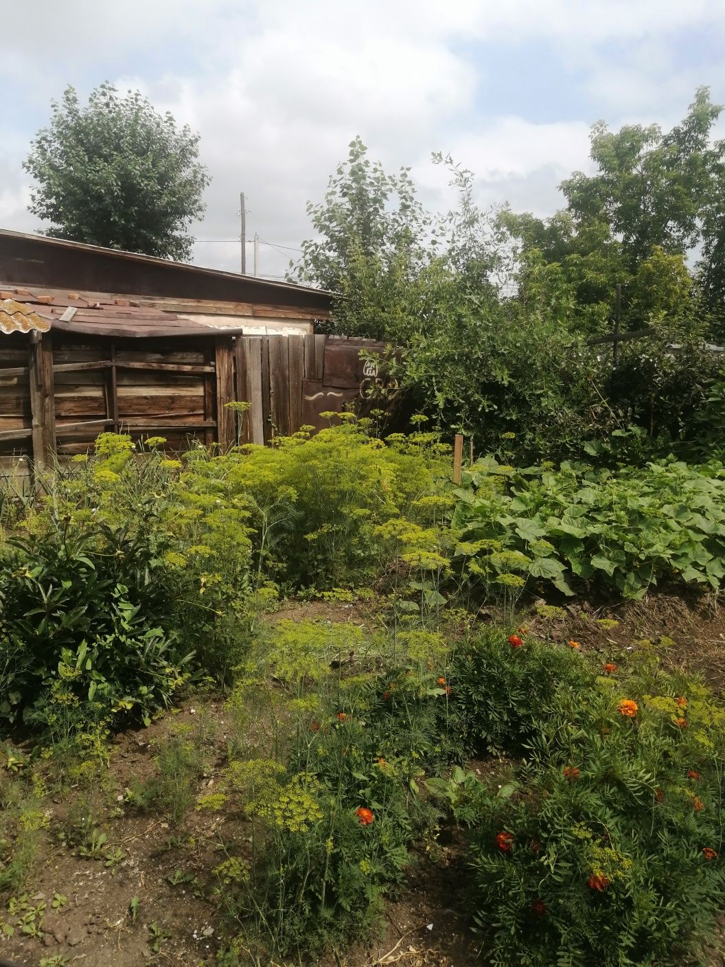 Продам участок с домом под снос