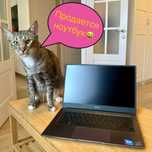 Ноутбук Honor magicbook 14 Ryzen 5 5500U 8/512 Гб